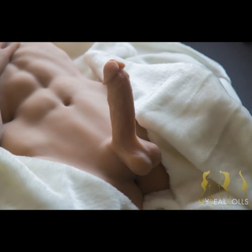 ken male torso doll sex dolls 507