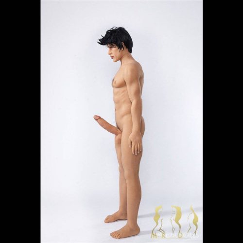 sex dolls myrealdolls brad male doll 13974838673544